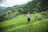 Vietnam - Agricoltore nelle risaie a terrazze di Sapa.