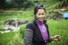 Vietnam - Donna della tribù Black Hmong nelle risaie di Sapa.