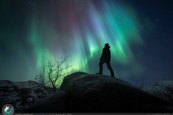 Aurora alle Lofoten durante il nostro viaggio fotografico Aurora alle Lofoten durante il nostro viaggio fotografico