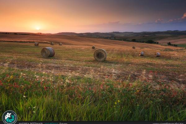 Balle di fieno al tramonto