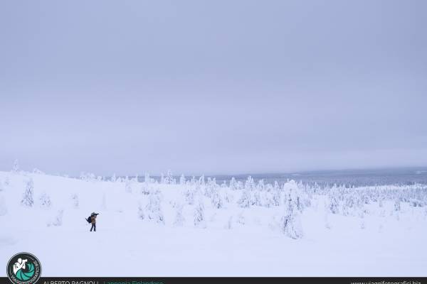 escursione fotografica riisitunturi lapponia finlandese