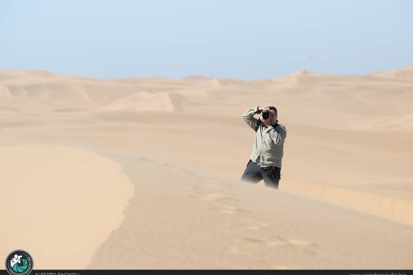 Backstage foto deserto Namibia
