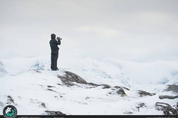 Lofoten con viaggi fotografici