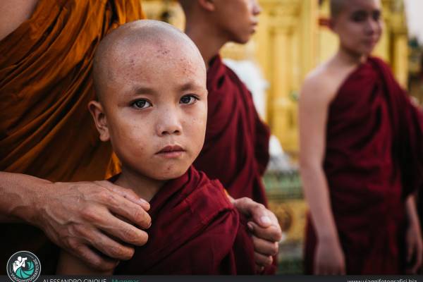 Ritratto piccolo monaco birmano