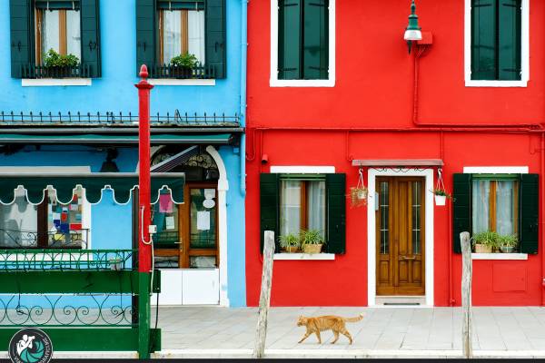 workshop di fotografia a venezia e burano