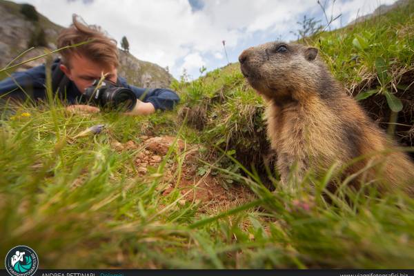A caccia di Marmotte