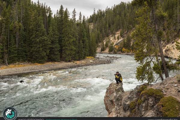 Yellowstone