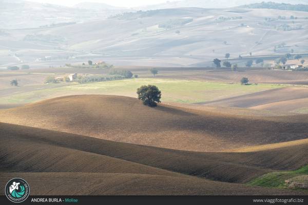 Workshop in Molise
