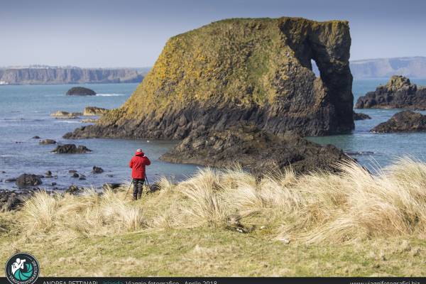 Elephant Rock