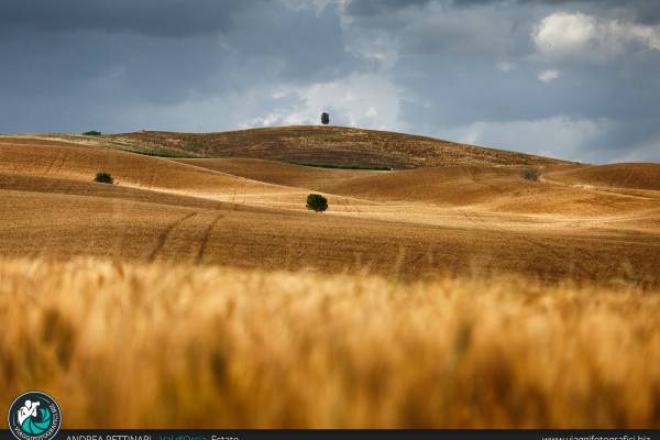 Colline e luce