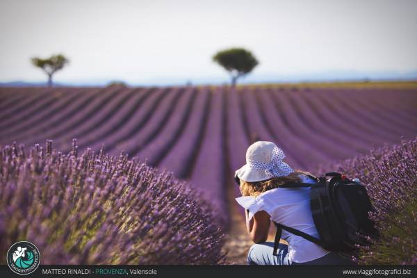 Tra i campi di lavanda