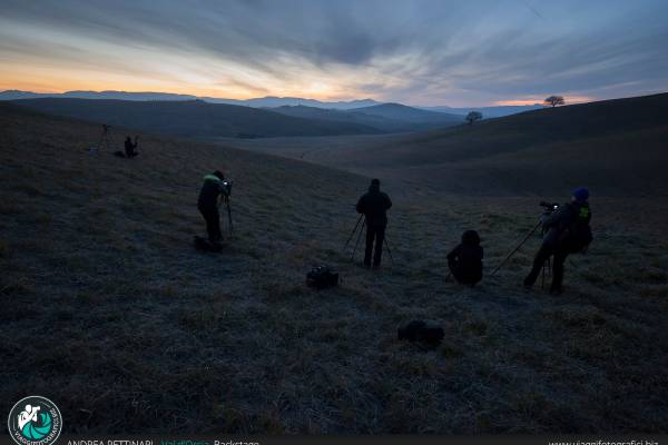 Alba tra le colline