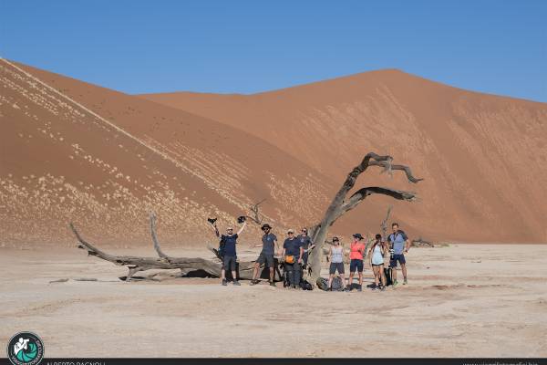 Backstage namibia dead vlei