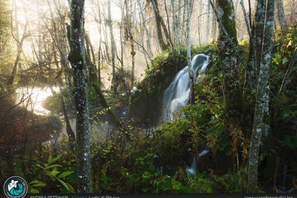 Prima mattina ai Laghi di Plitvice