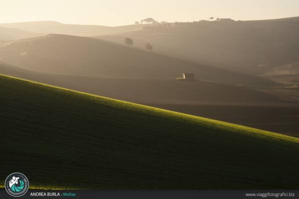 Campagna molisana all'alba