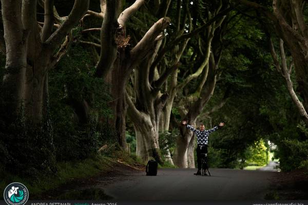 sotto the dark hedges