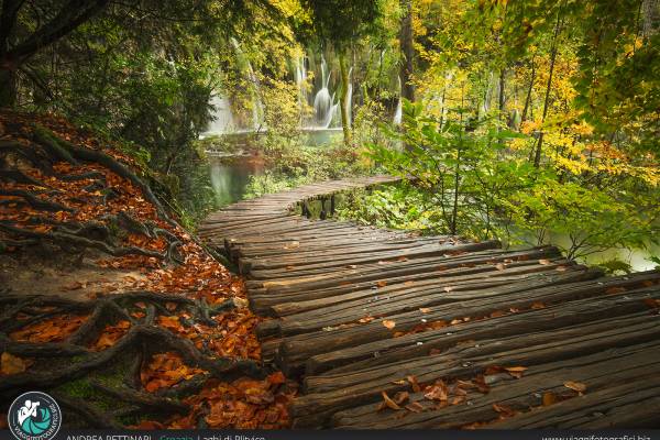 Passerelle ai Laghi di Plitvice