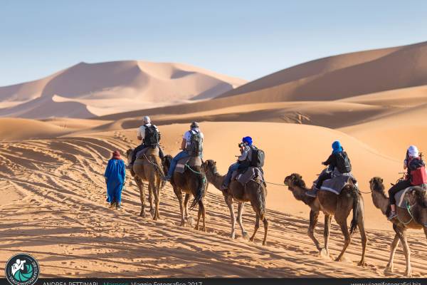 Cammellata fotografica nel deserto