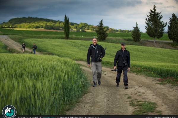 Verso il tramonto