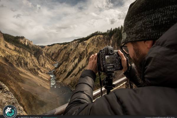 Viaggio fotografico a Yellowstone