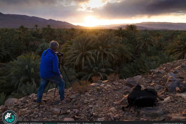 Tramonto al Draa