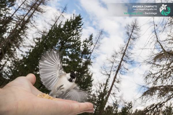 Backstage workshop fotografico in Val Roseg, Pontresina