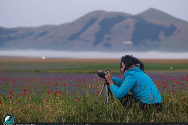 Alba a Castelluccio