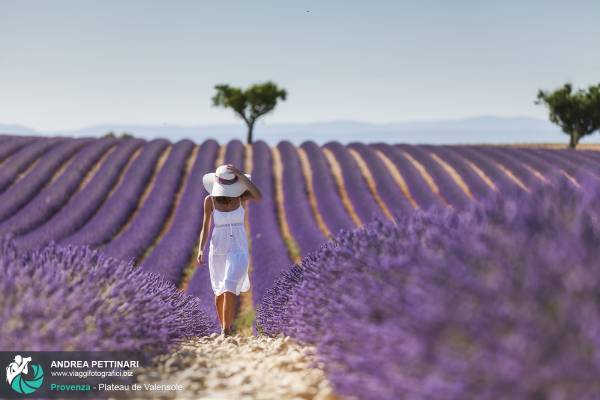 Viaggio fotografico in Provenza - Foto di backstage