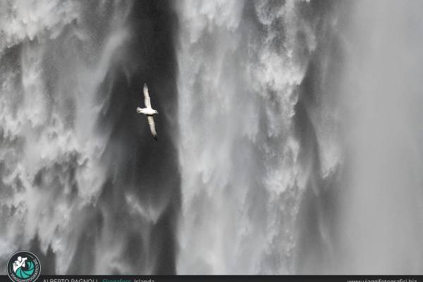 Cascata di skogafoss islanda