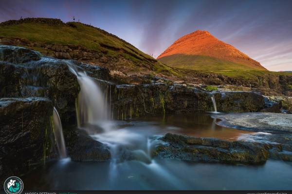 Fotografare i puffin alle Faroe