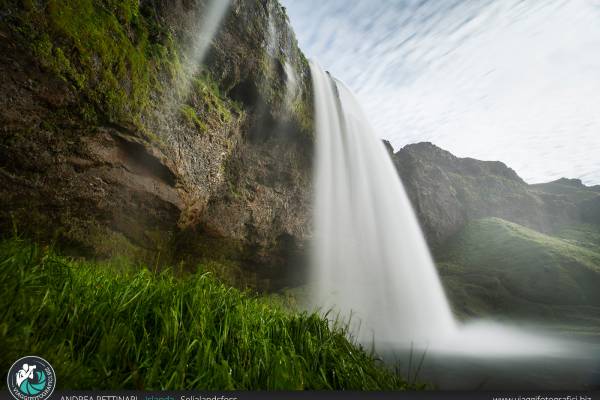 Seljalandsfoss ed erba