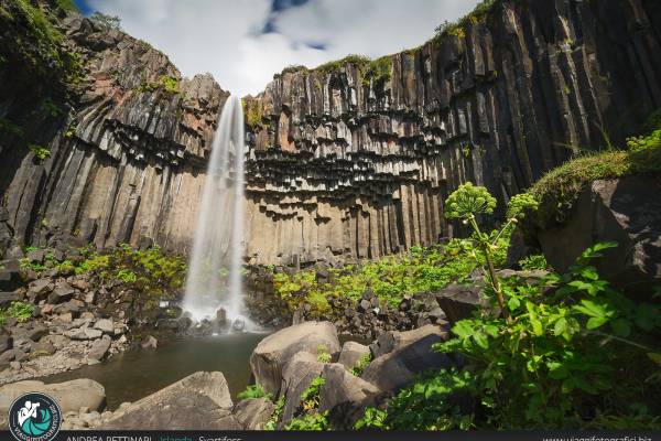 Svartifoss estiva