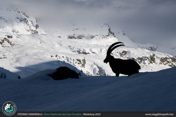 Fotografie del parco nazionale del Gran Paradiso.