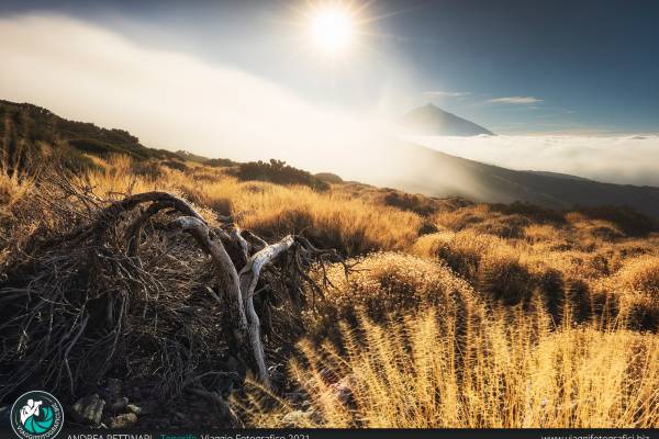 Immagini realizzate presso il vulcano Teide