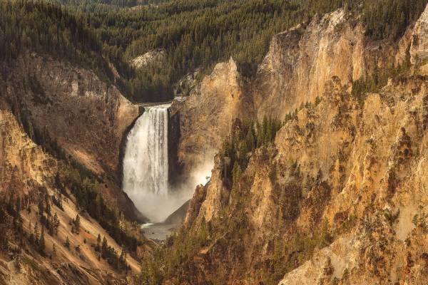 Yellowstone & Grand Teton.