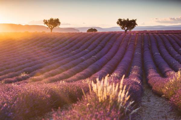 Workshop fotografico in Provenza.