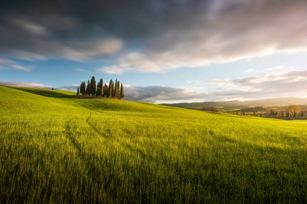 Workshop fotografico in val d'Orcia: primavera.