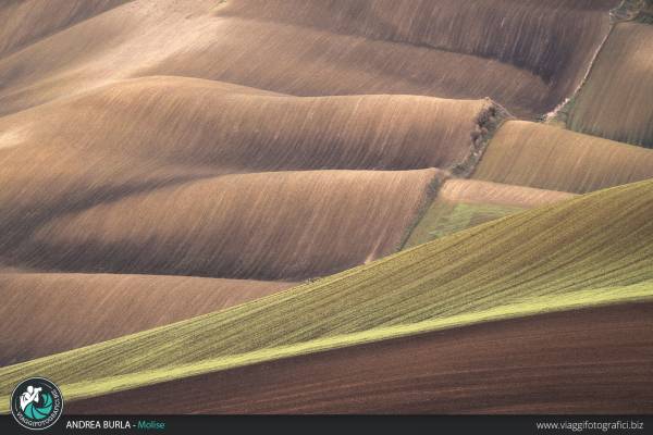 Workshop fotografico in Molise