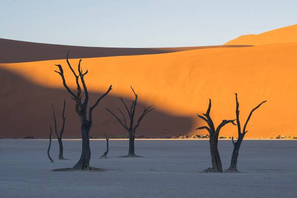 Viaggio fotografico in Namibia.