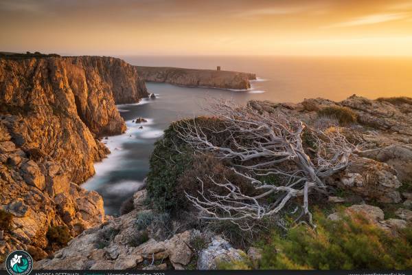 Viaggio fotografico in Sardegna.