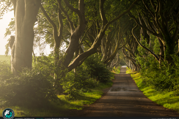 Un viaggio fotografico alla scoperta dell'Irlanda.
