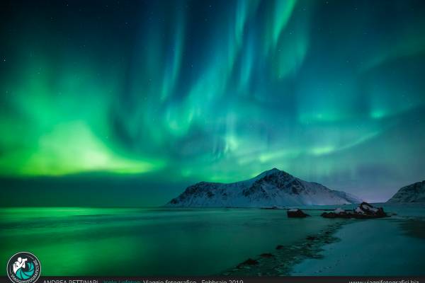 Viaggio fotografico alle isole Lofoten, Norvegia. Viaggio fotografico alle isole Lofoten, Norvegia.