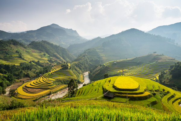 Viaggio fotografico in Vietnam.