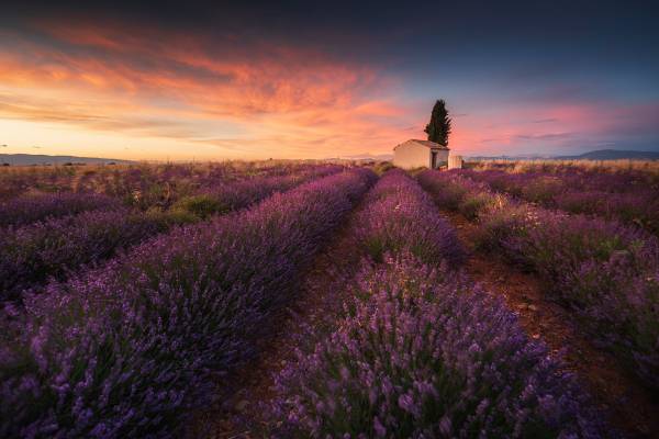 Workshop fotografico in Provenza.