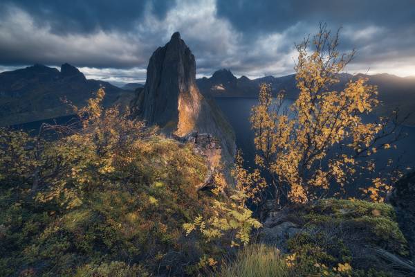 Norvegia: Senja e Isole Lofoten.