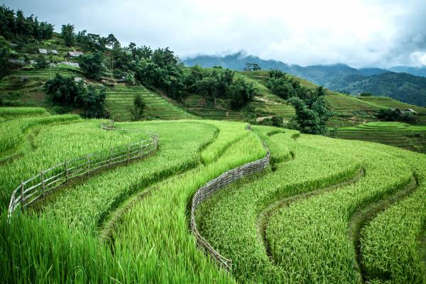 Viaggio fotografico in Vietnam.