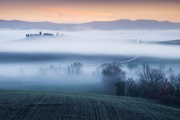 Workshop fotografico in val d'Orcia: inverno.