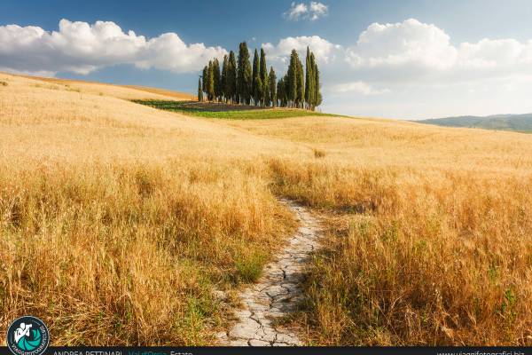 Corso di fotografia in Val d'Orcia: estate.