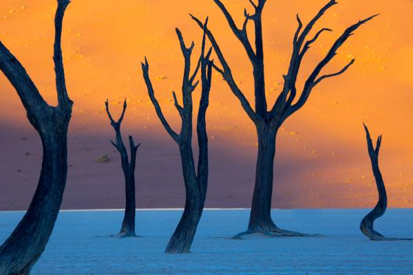 Viaggio fotografico in Namibia.