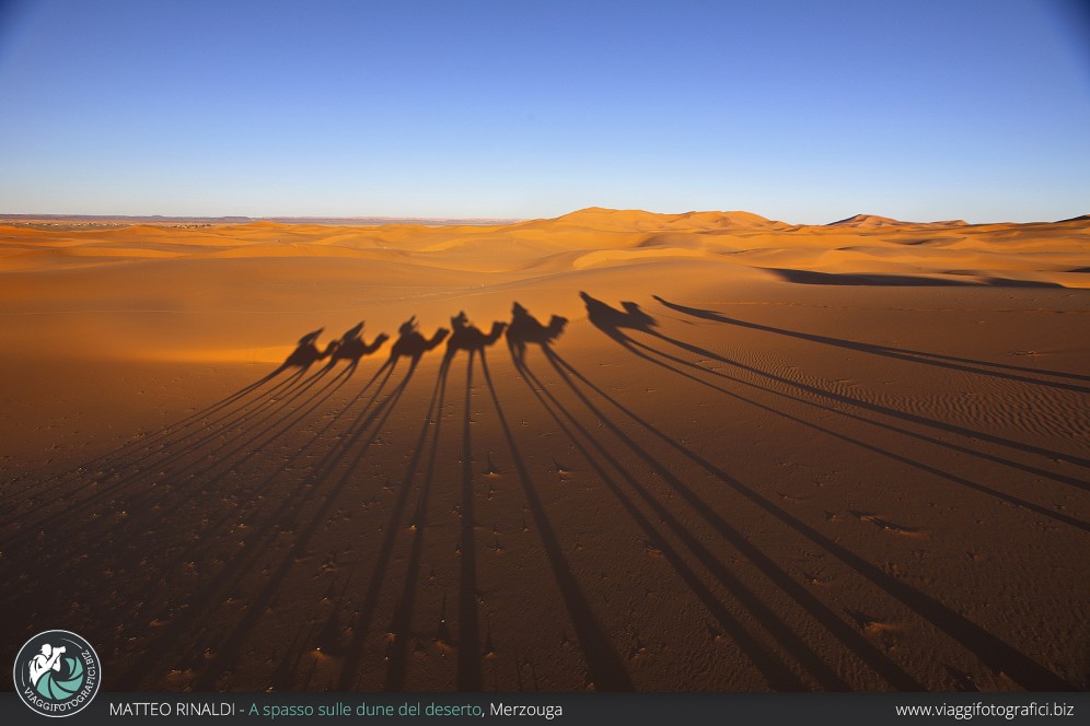 A spasso sulle dune del deserto.